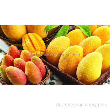 Industriell getrocknete Mango -Verarbeitungsmaschine